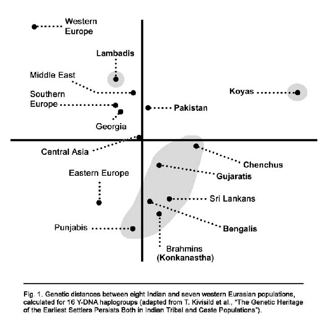 genetic map