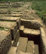 Harappa City site