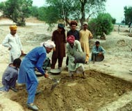 harappa digging