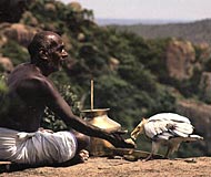 mahabalipuram eagle